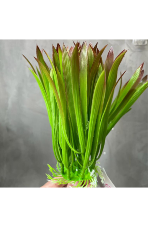 Capim Verde e Marrom