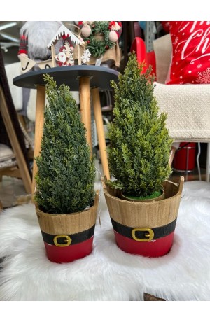 Mini Pinheiro Cromus 43cm