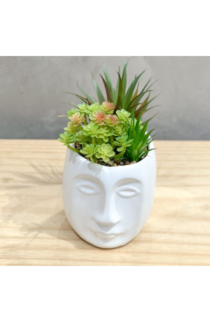  Vaso de Cerâmica com Planta  Mod. 1