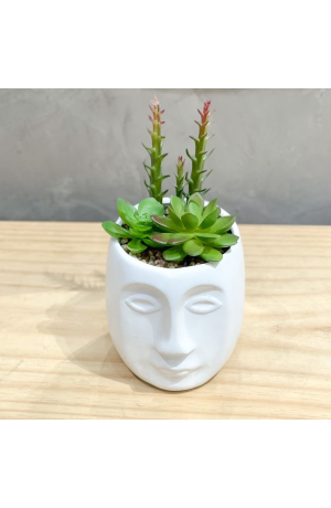 Vaso de Cerâmica com Planta  Mod. 2