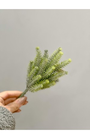 Mini Pinheiro do Paraná 18cm ( Artificial )