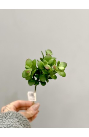 Suculenta Verde ( Artificial ) - 20cm