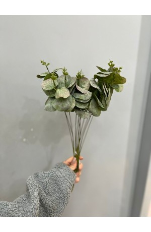 Buquê de Eucalipto Verde Claro - 50cm