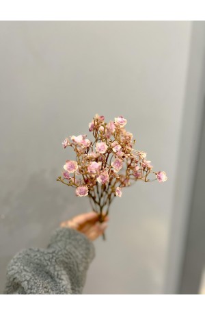 Haste de Mosquitinho Outono Rosa - 48cm (Artificial)