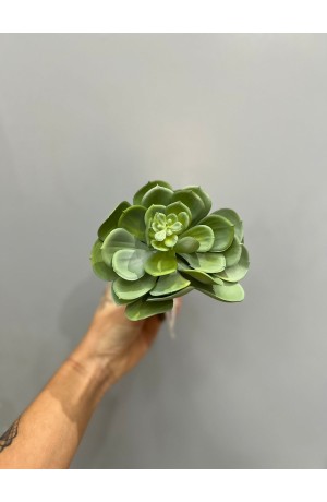 Suculenta Verde Clara - 17cm ( Artificial )