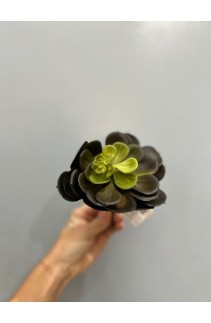 Suculenta Verde Escura - 17cm ( Artificial )