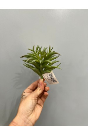 Suculenta Verde Clara ( Artificial ) - 13cm