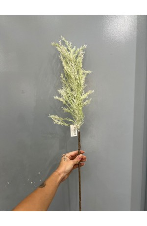 Haste de Capim dos Pampas - 100cm (Artificial)