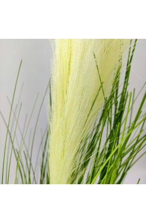 Buquê Capim dos Pampas com Plumas