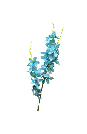 Haste de Orquidea Azul